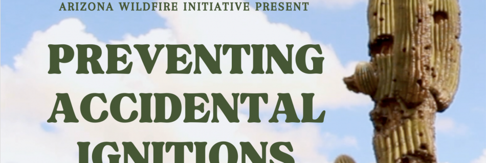 Preventing accidental ignitions title part of flyer